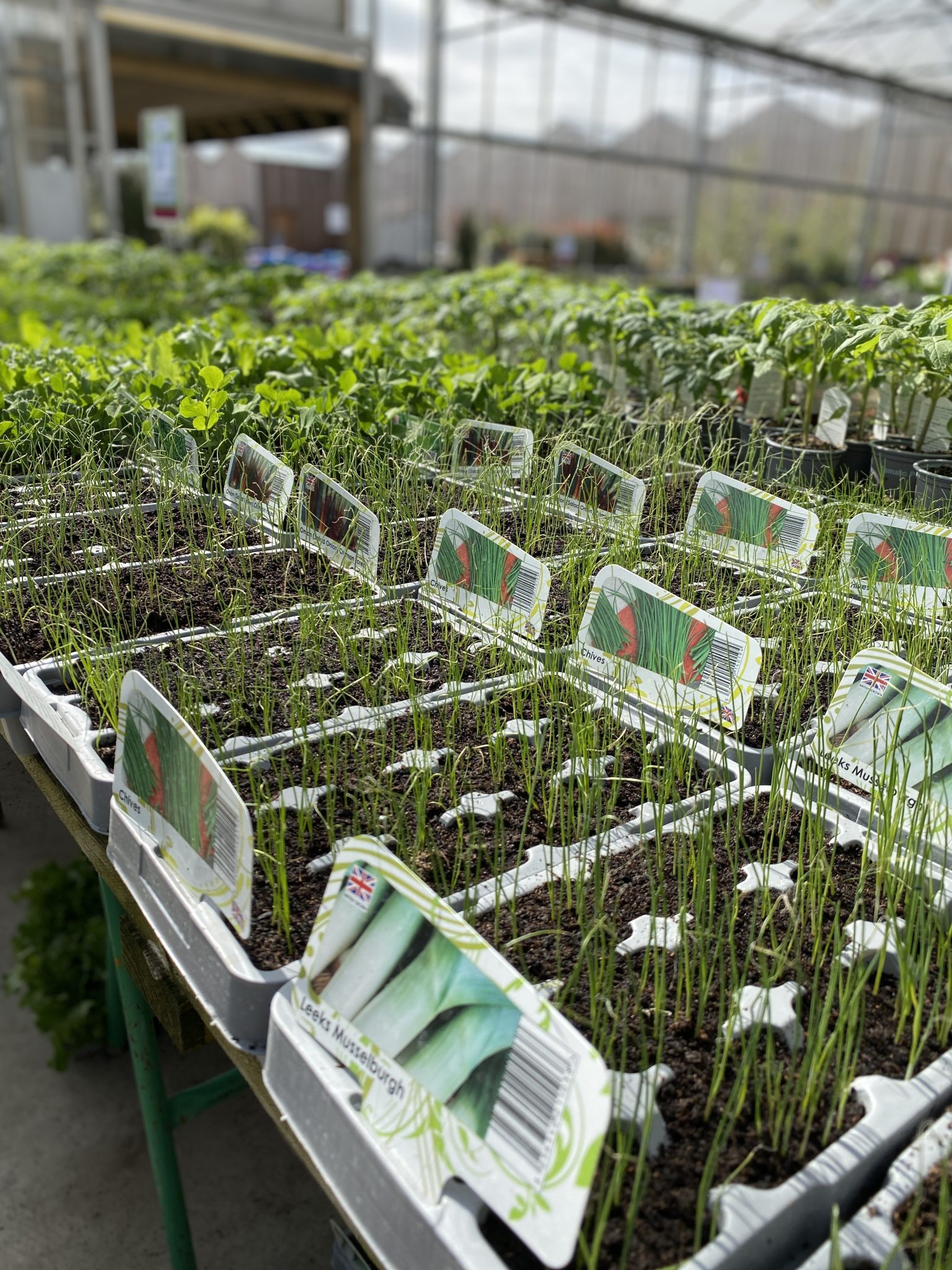 Hartwell Nurseries Chiltern View Magazine